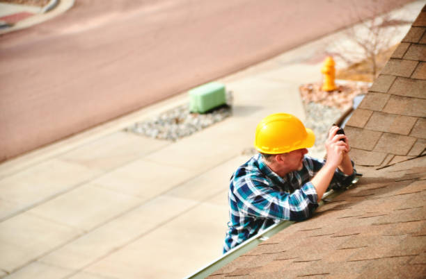 Best Roof Gutter Cleaning  in Lake Barcroft, VA