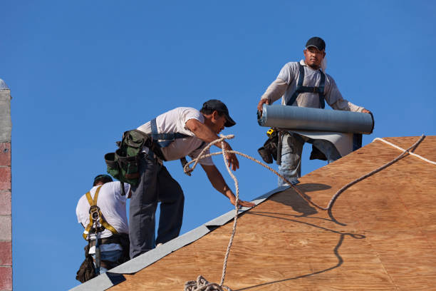 Best Roof Maintenance Services  in Lake Barcroft, VA