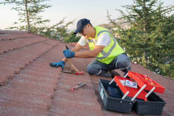Best Local Roofing Companies  in Lake Barcroft, VA